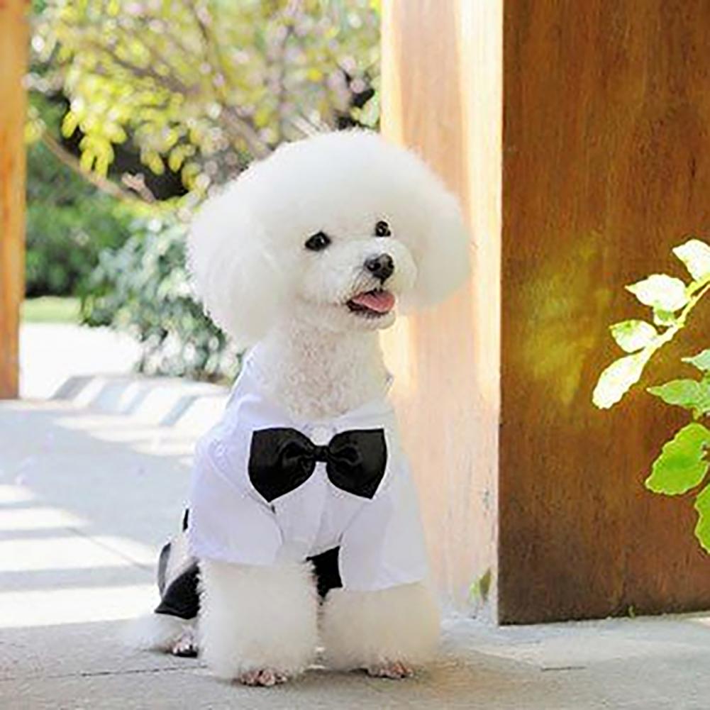Summer Dog Clothing - Cão laço terno smoking traje camisa