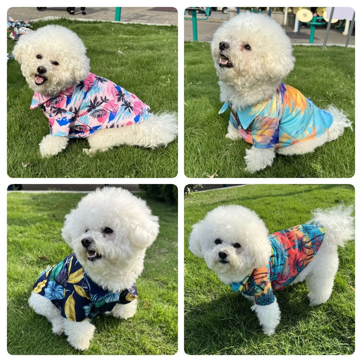 Camisa Havaiana para Animais d - Summer Dog Clothing avaliação e preço
