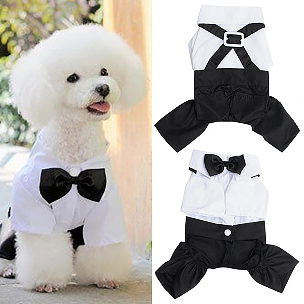 Cão laço terno smoking traje c - Summer Dog Clothing avaliação e preço