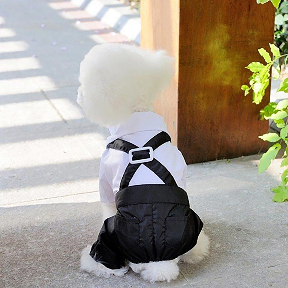 Cão laço terno smoking traje c - Summer Dog Clothing avaliação e preço